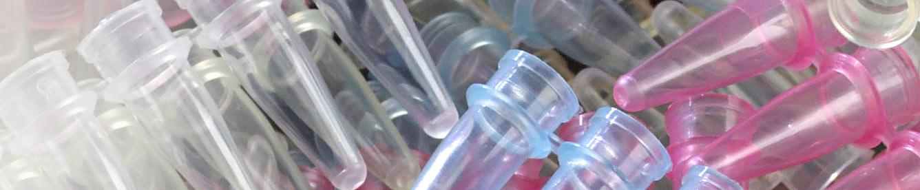 PCR Products