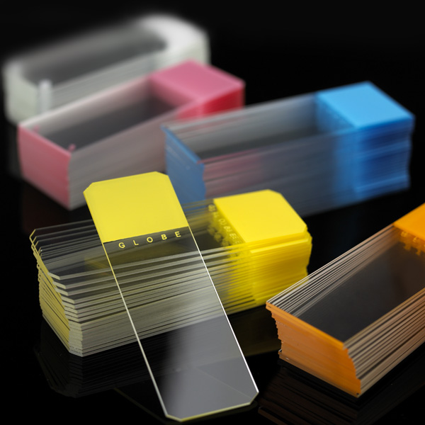 Color