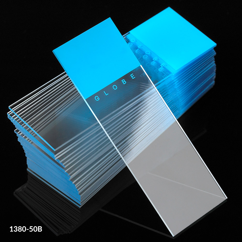 Globe Scientific Diamond 1380-50B White Glass Microscope Slide 1,440 slides 25 x 75mm Size Blue Frosted Ground Edges 