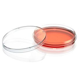 Cell Culture Dish, Tissue Culture Treated, 100 x 15mm with Gripping Ring, Sterile, 10/Bag, 500/Case