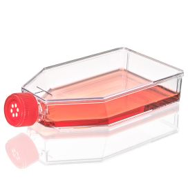 Cell Culture Flask, Tissue Culture Treated, 182cm2, Vent Cap, Sterile, 5/Bag, 40/Case