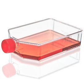 Cell Culture Flask, Tissue Culture Treated, 225cm2, Plug Cap, Sterile, 5/Bag, 25/Case