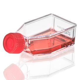 Cell Culture Flask, Tissue Culture Treated, 25cm2, Plug Cap, Sterile, 10/Bag, 200/Case