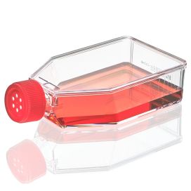 Cell Culture Flask, Tissue Culture Treated, 75cm2, Vent Cap, Sterile, 5/Bag, 100/Case