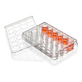 Multiple Well Plate, 24 Well, Flat Bottom, Non-treated, Sterile, Individually Wrapped