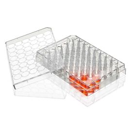 Multiple Well Plate, 48 Well, Flat Bottom, Non-treated, Sterile, Individually Wrapped