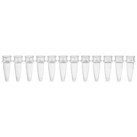 0.2mL 12-Strip Tubes, No Caps, Natural