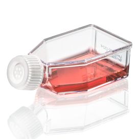 Cell Culture Flask, Non-treated, 50mL, Vent Cap, Sterile, 10/Bag, 200/Case